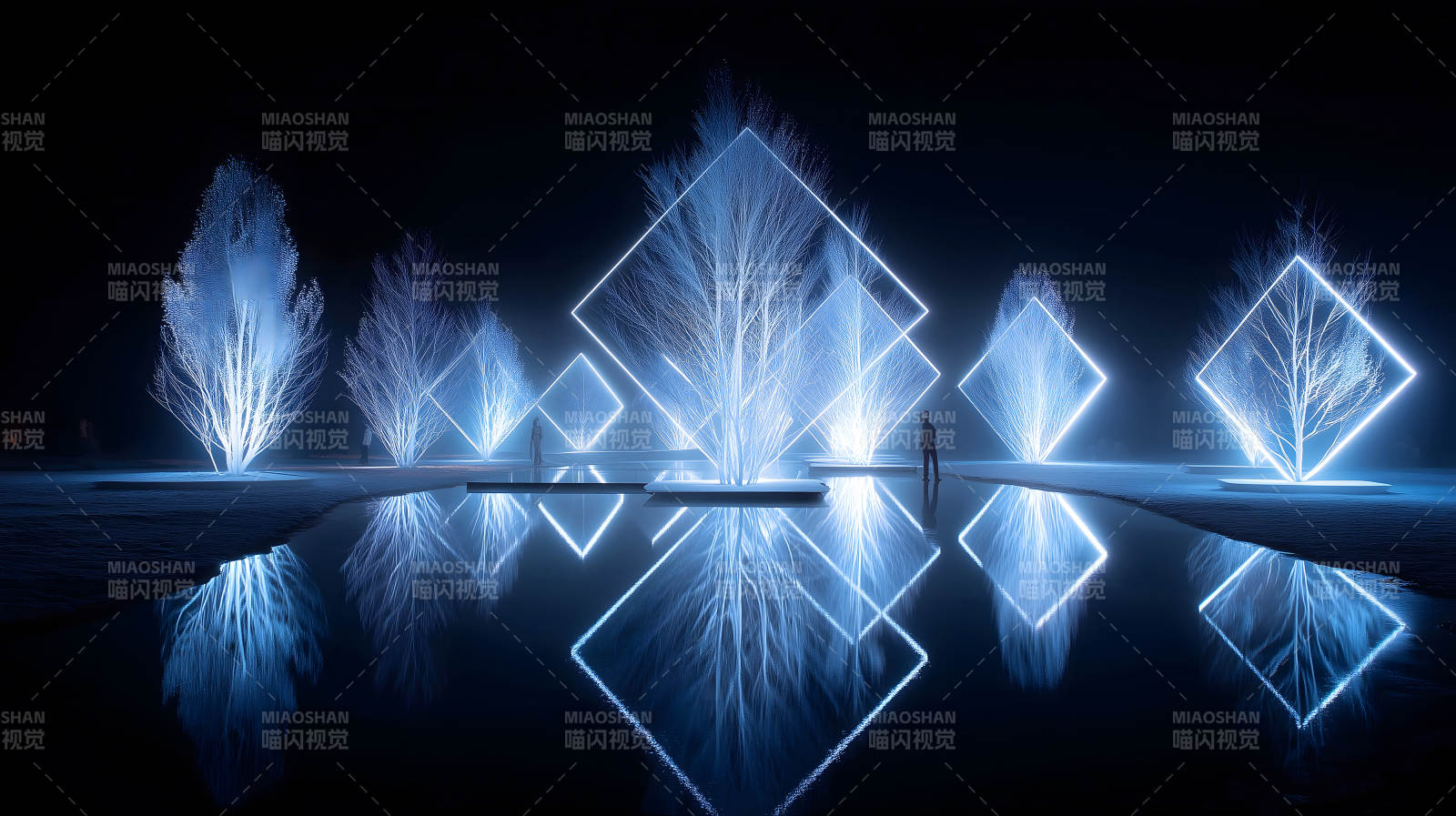 夜幕下的光影树与倒影图片