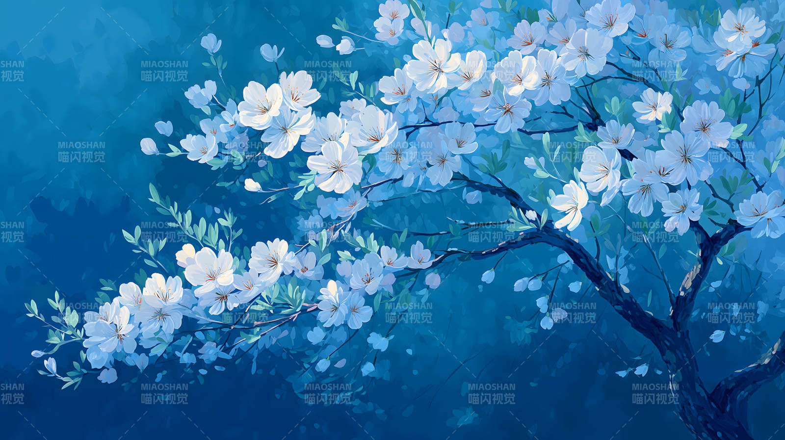 蓝天白花图盛开繁茂图片