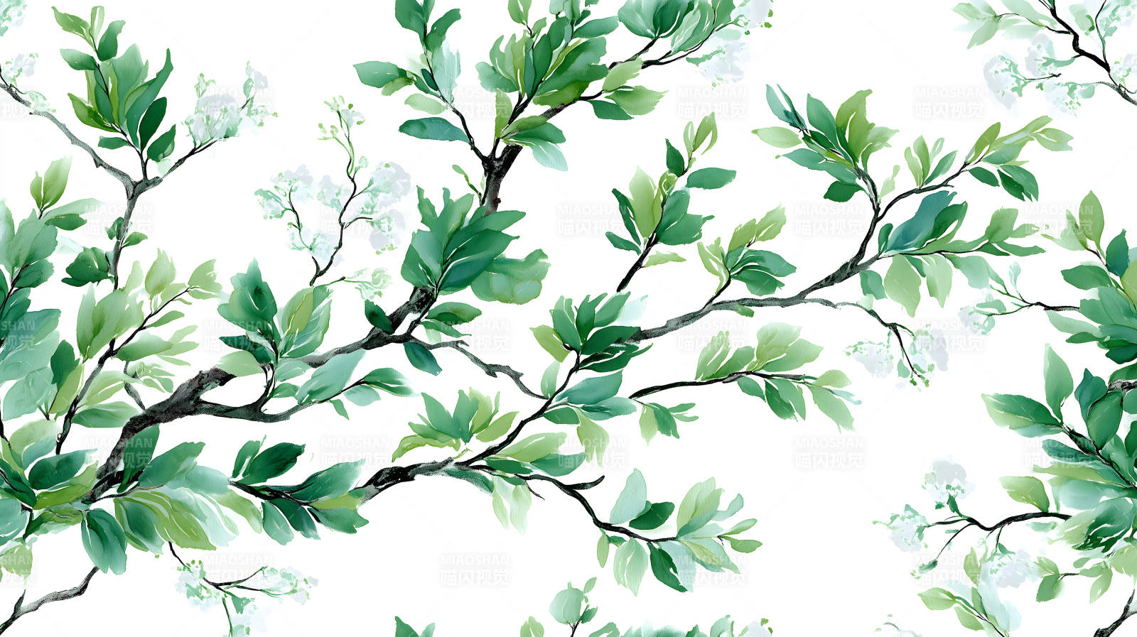 水彩风格的绿叶枝条图图片