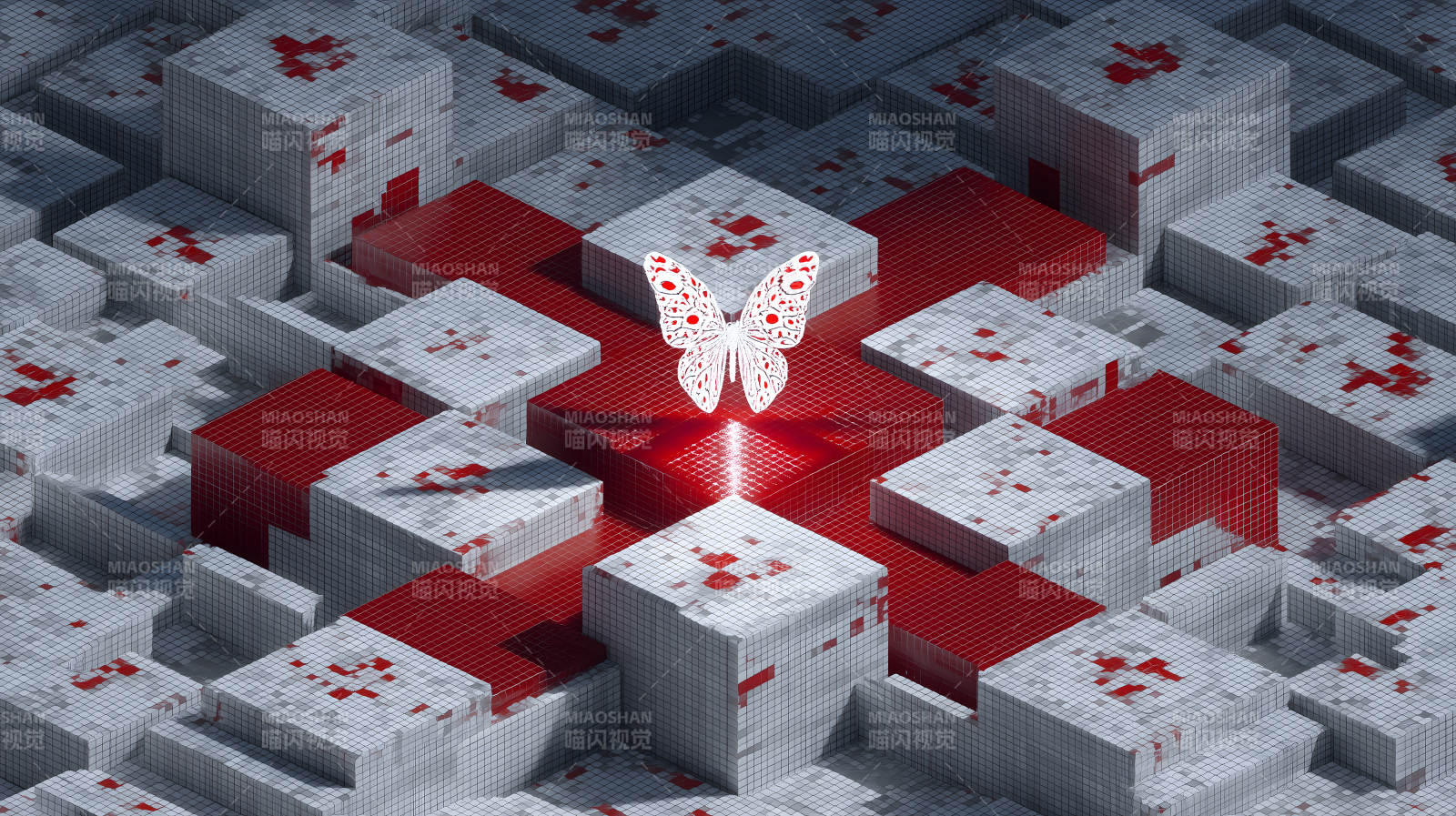 立方体迷宫中的蝴蝶图案图片