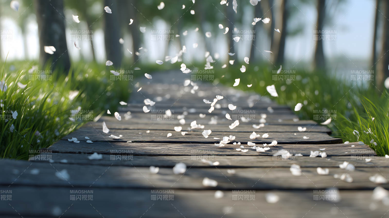 落叶飘落木栈道风景图片