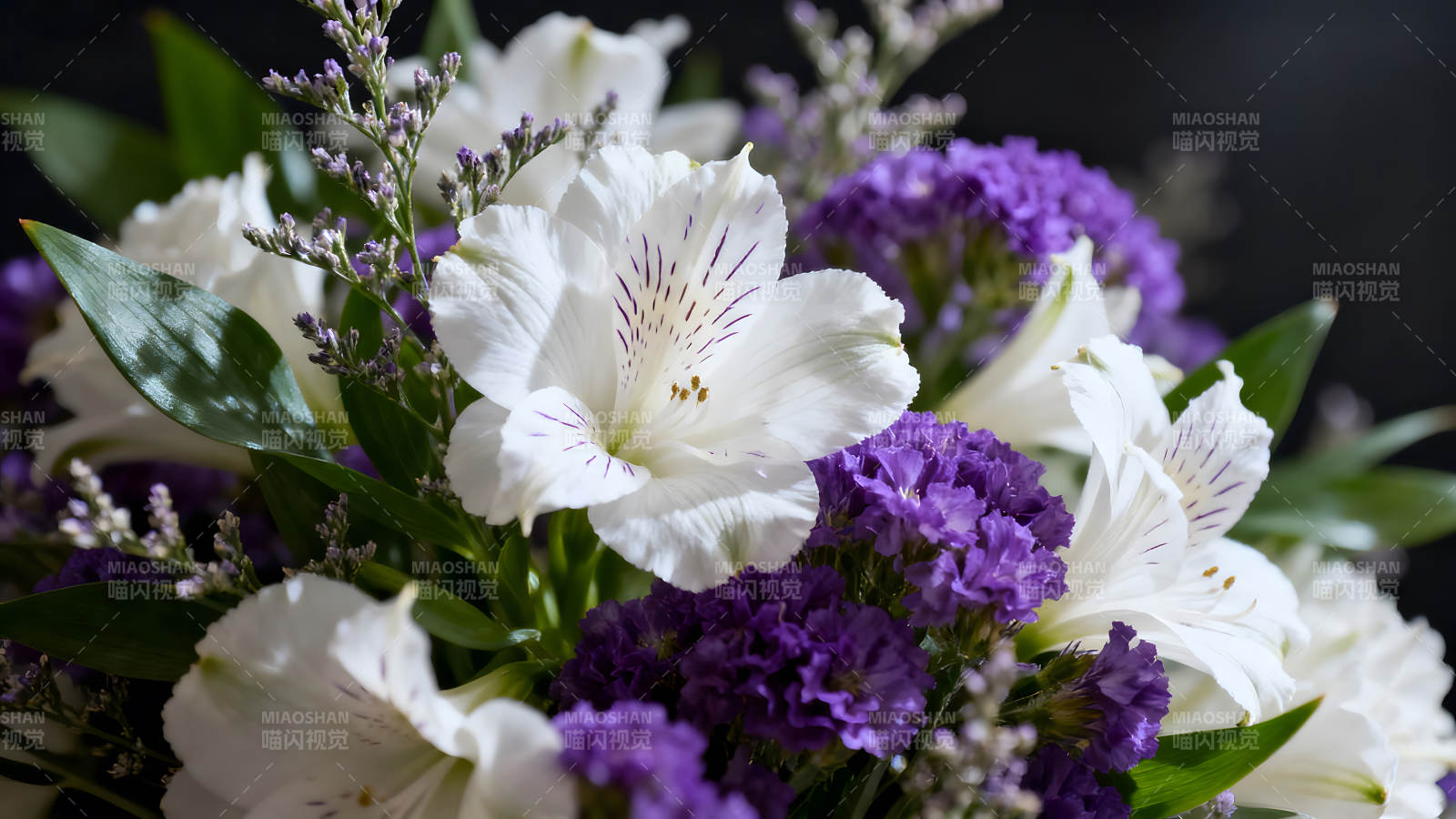 美丽花束特写镜头图片