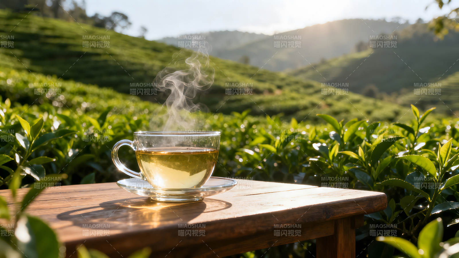 茶杯置于茶园木桌茶香弥漫图片