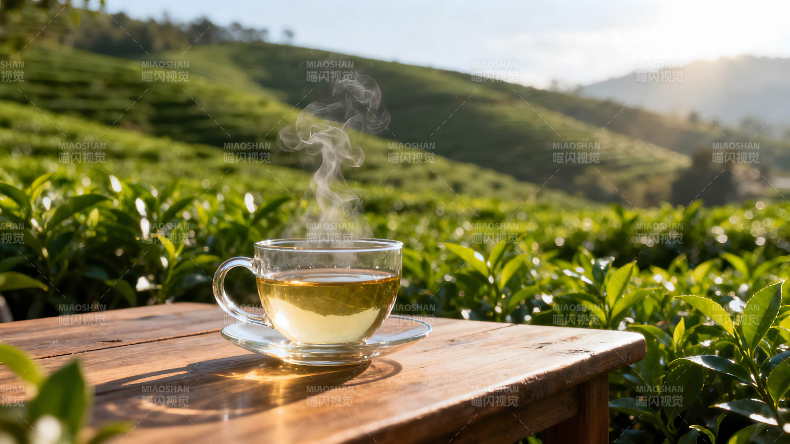 茶杯茶园日光沐浴清新舒畅图片