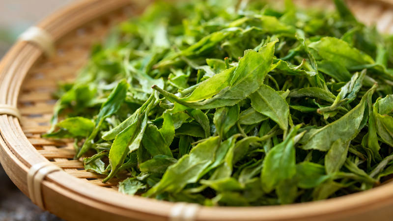 翠绿茶叶置于竹篮中图片