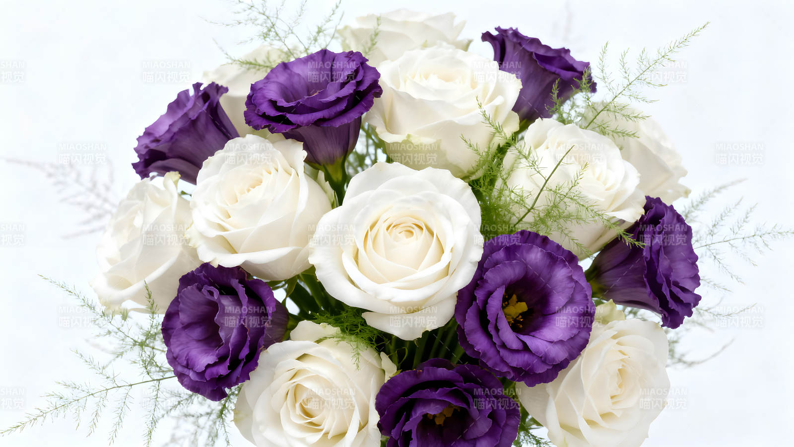 白色玫瑰与紫色花朵的唯美组合图片
