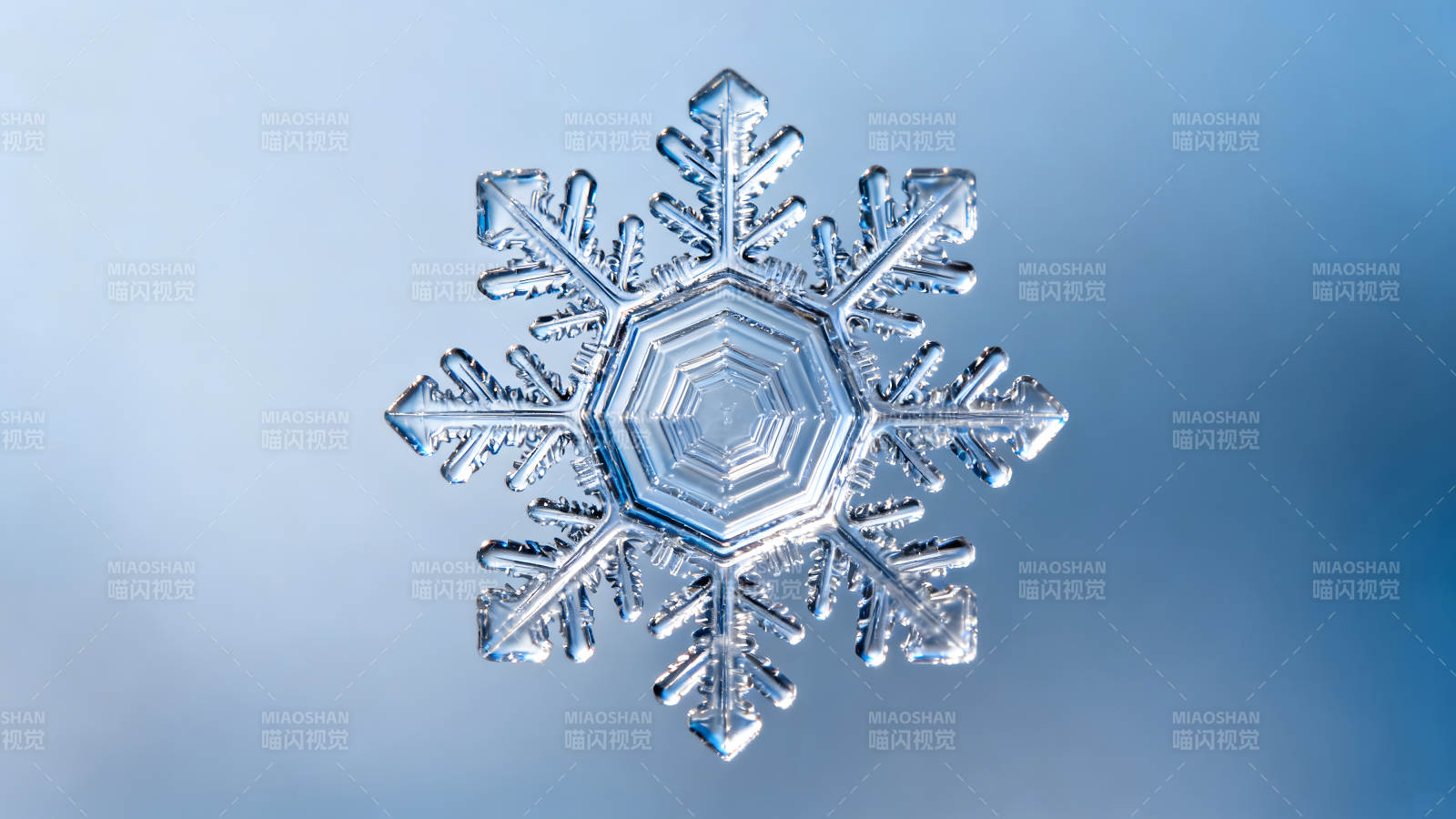 精美的雪花微观特写晶莹剔透图片