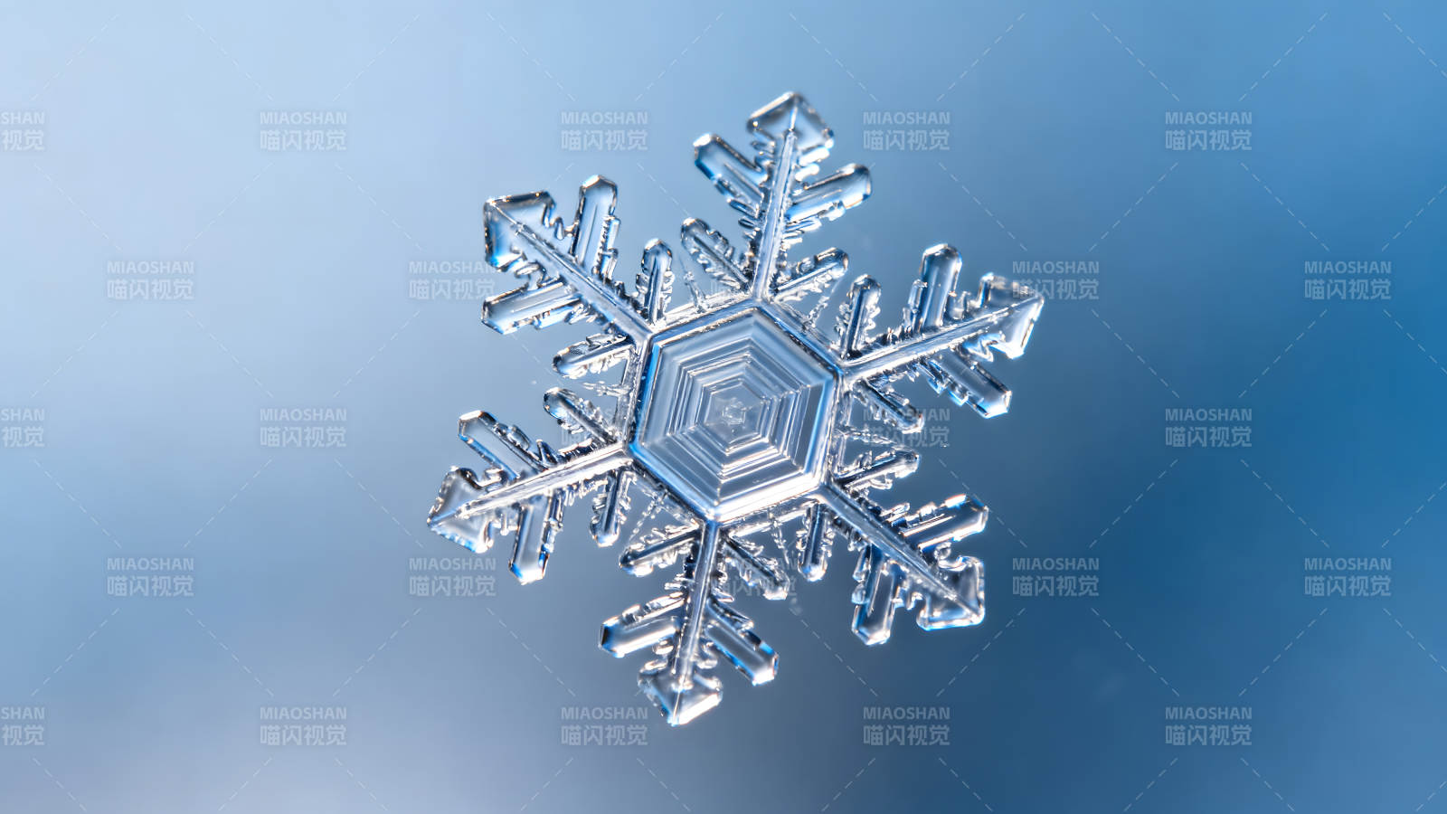 精致的雪花特写晶莹剔透图片