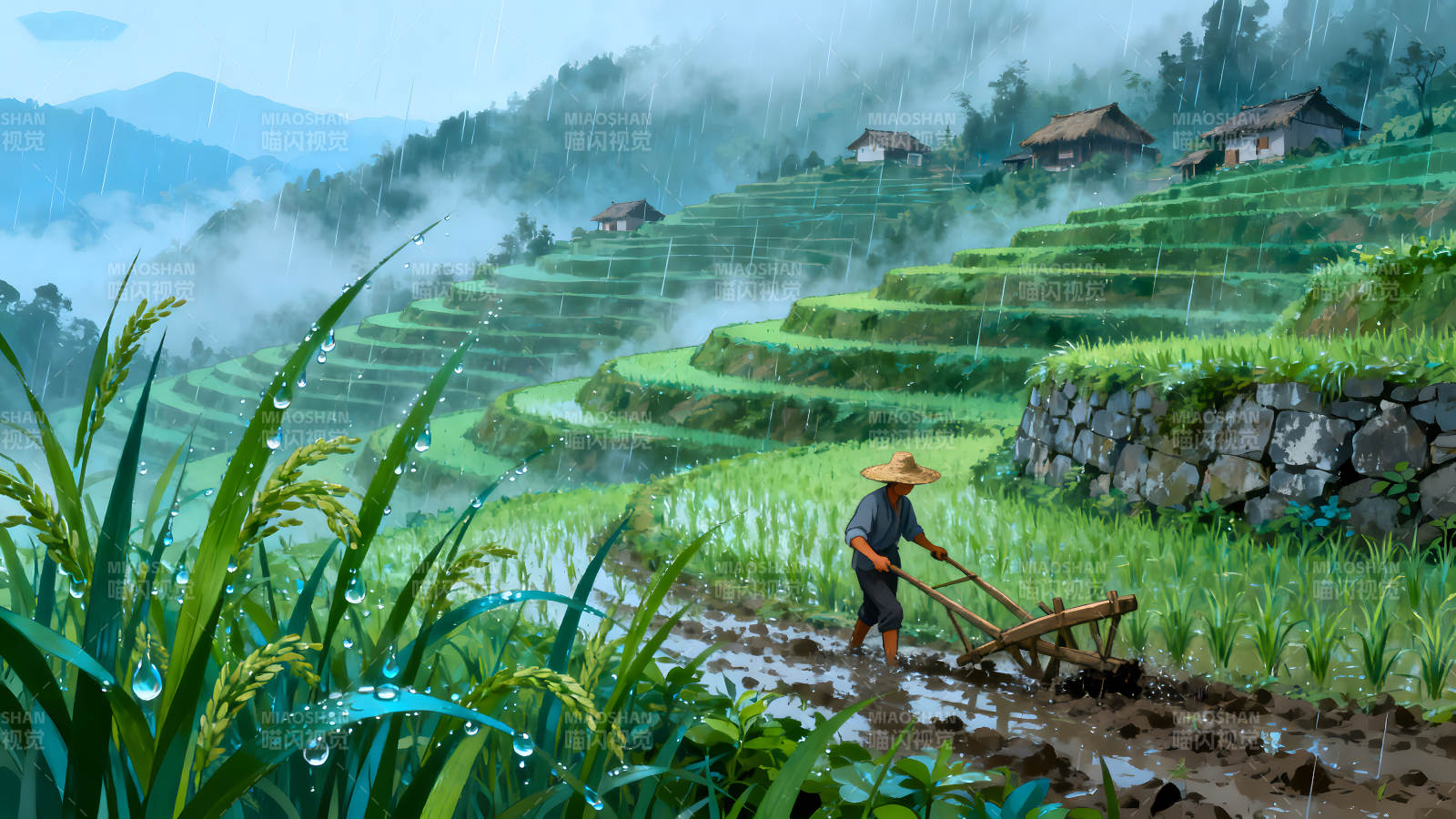 梯田耕耘雨中劳作景象图片