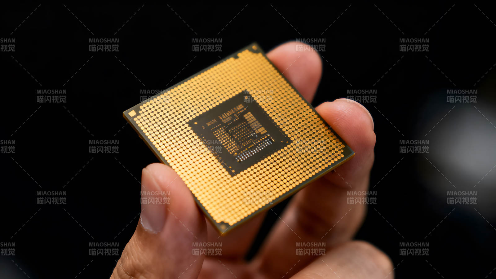 手持金色CPU特写镜头图片