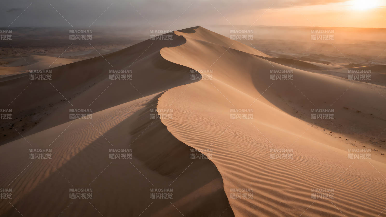 沙漠沙丘曲线的光影图片