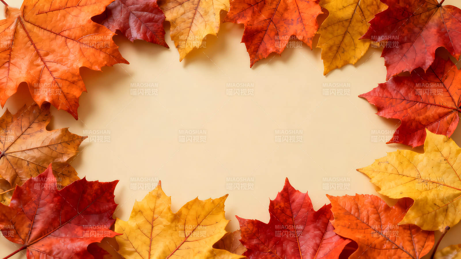 秋叶环绕的背景图案图片