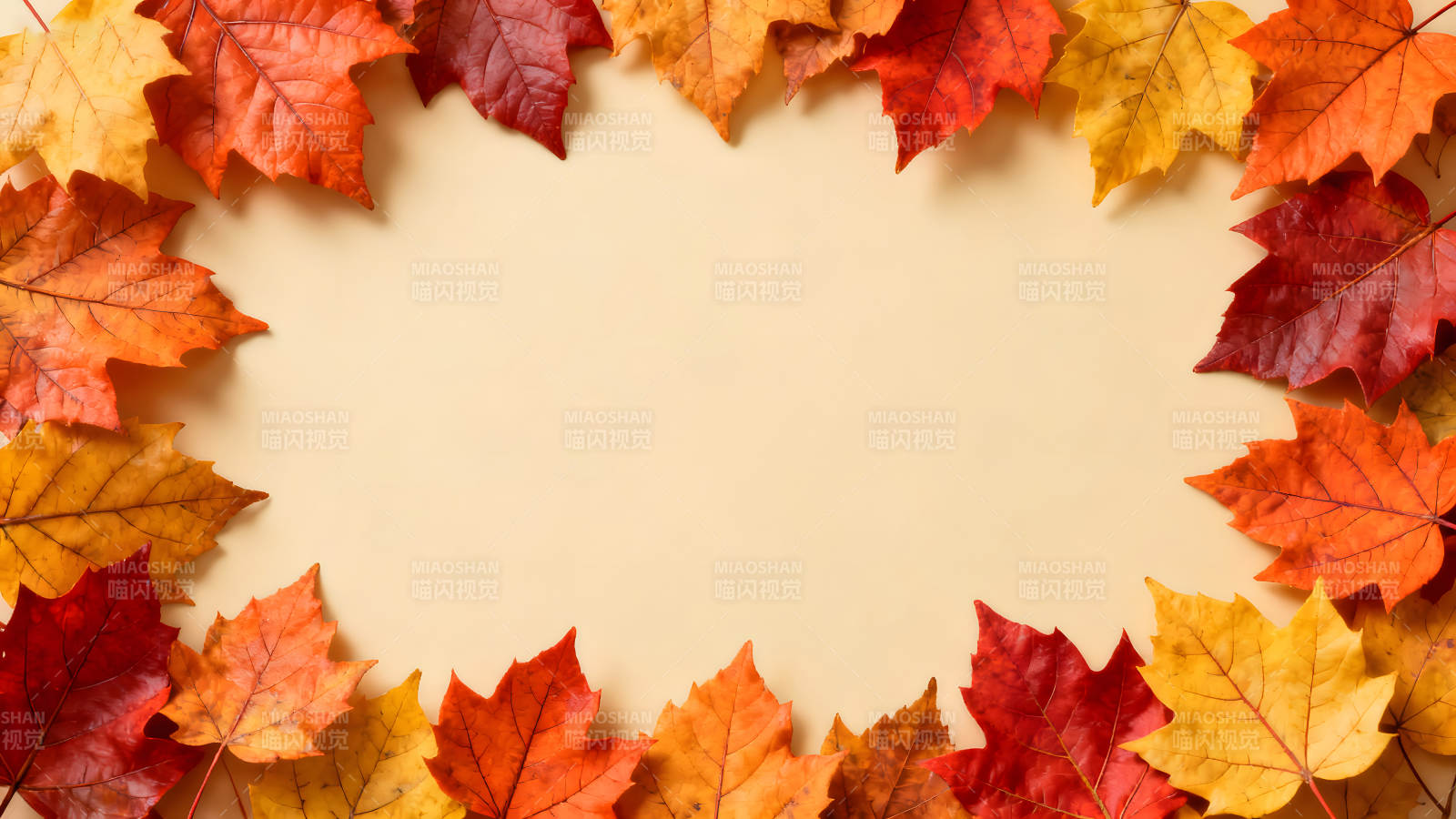 秋叶环绕的背景图片