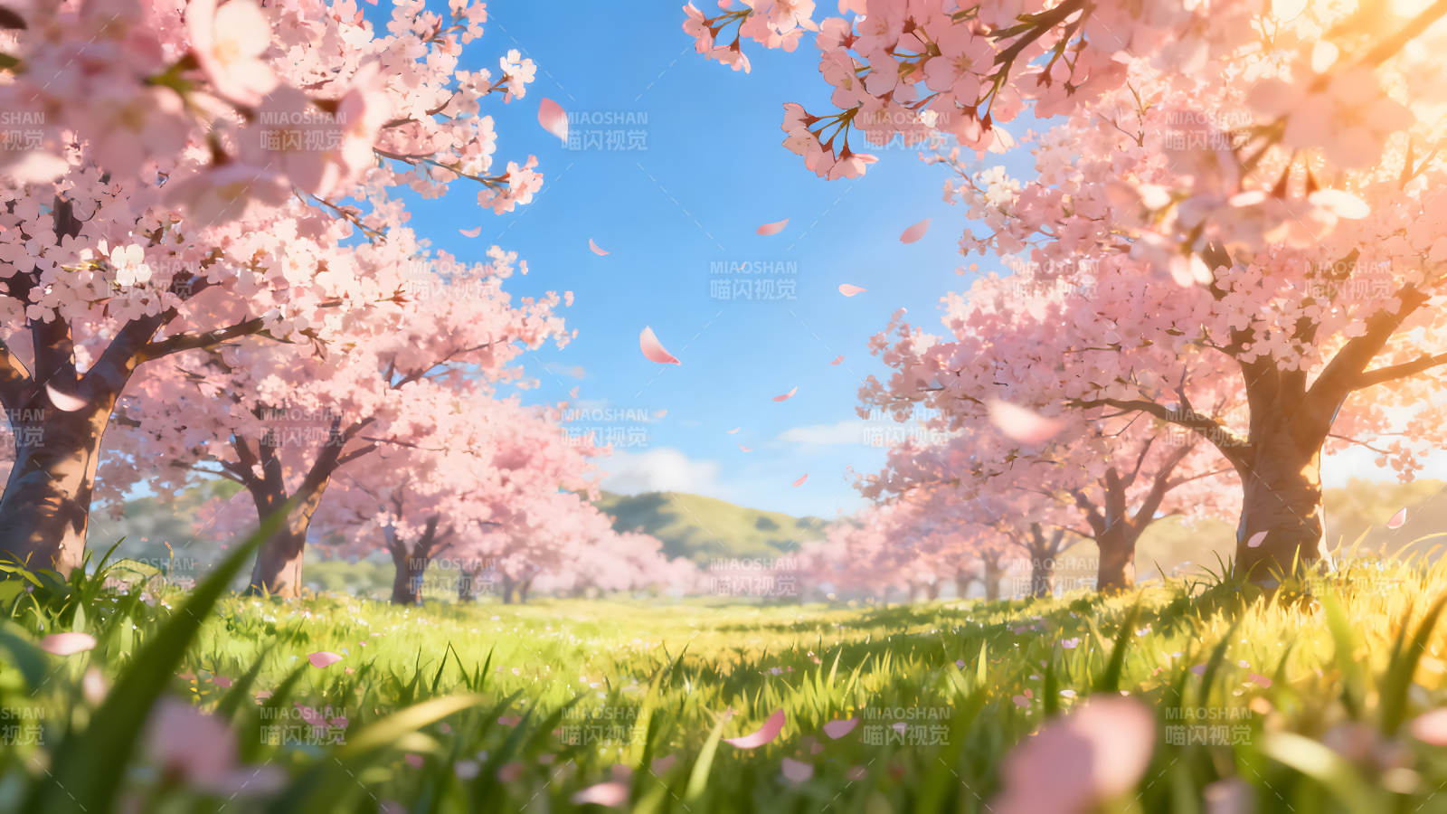 樱花烂漫春意浓郁风景如画图片