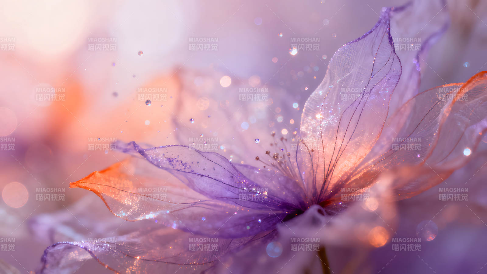 梦幻花朵绽放光芒图片