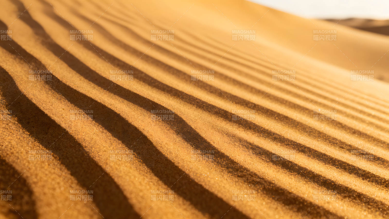沙丘纹理阳光照射下的沙丘图片