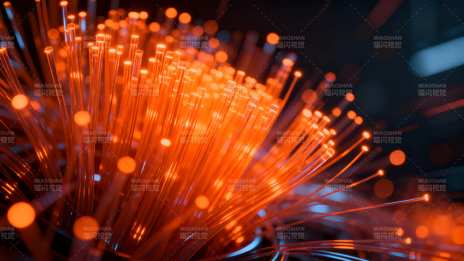 橙色光纤束的特写图片