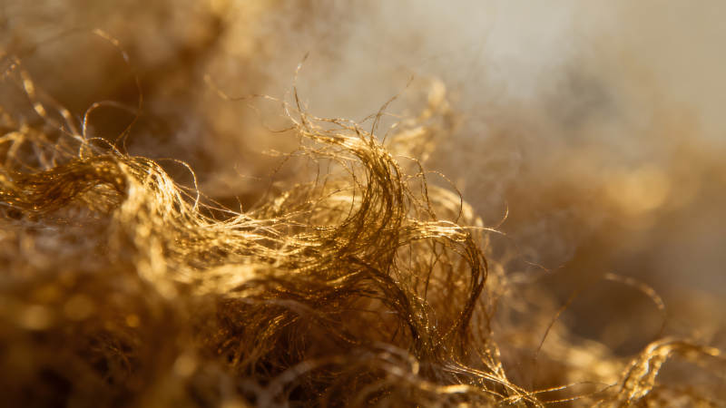 金丝绒质感特写图片