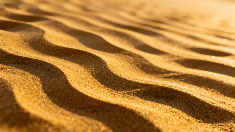 沙丘纹理金黄光影交织细腻的画面图片