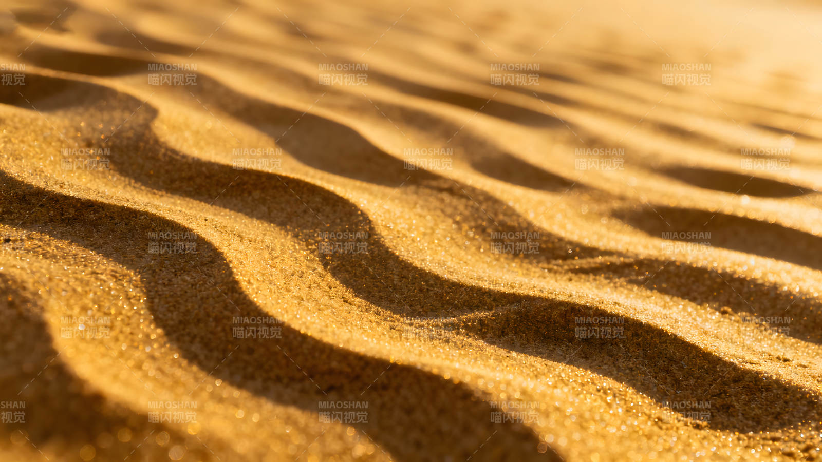 沙丘纹理金黄光影交织细腻的画面图片