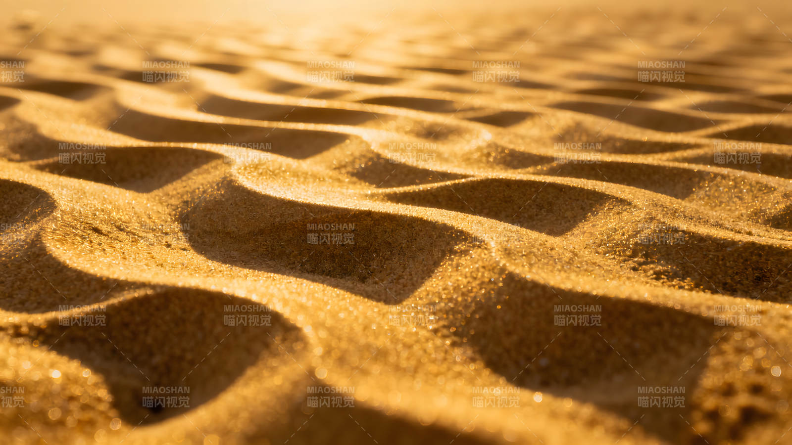 金黄色沙滩的纹理细节阳光下沙丘波纹图片
