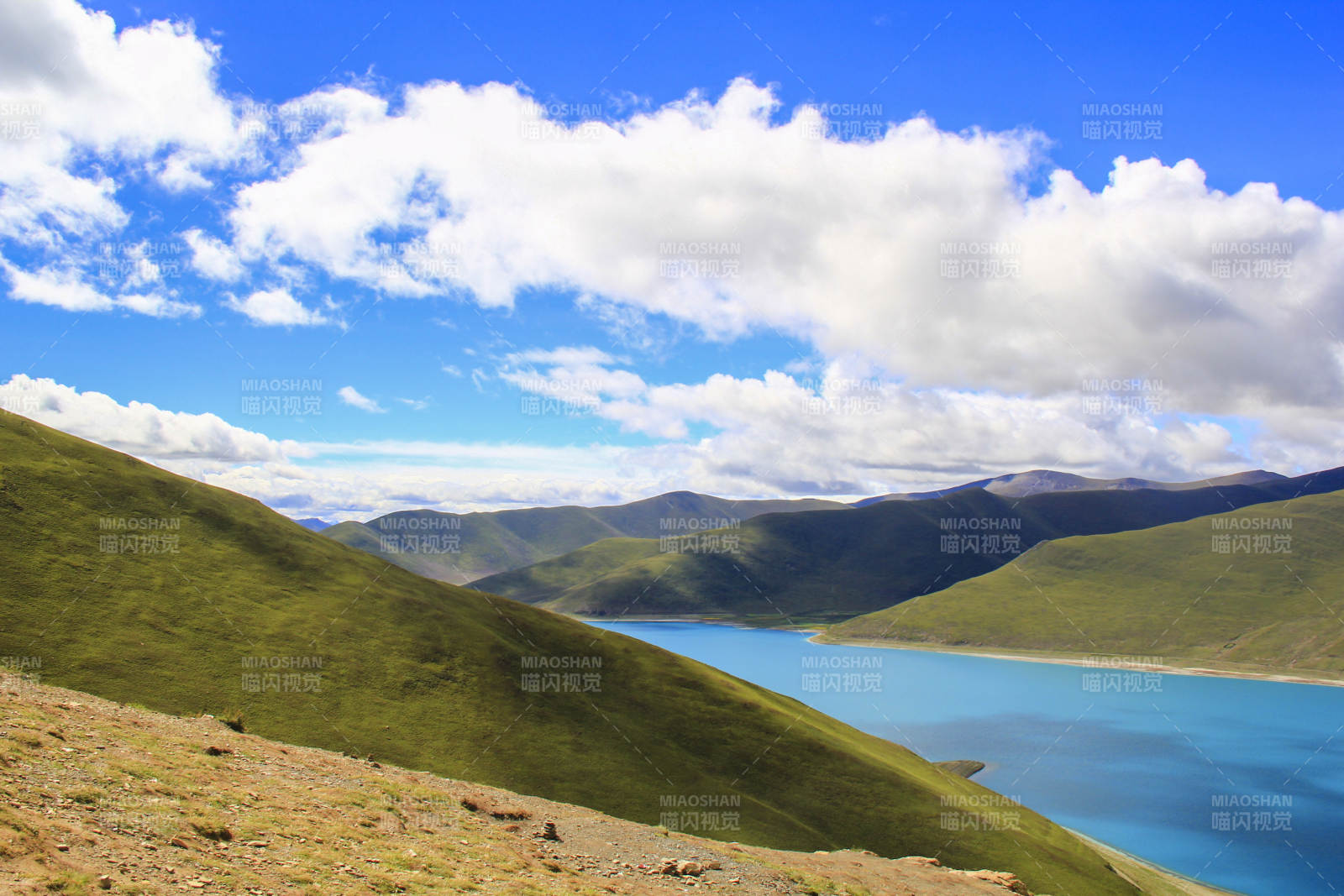 西藏圣湖羊卓雍措图片