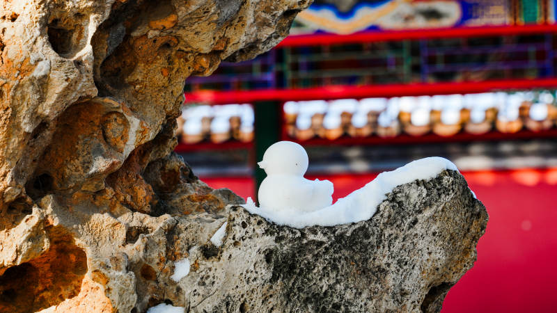 颐和园雪中石雕小鸭图片