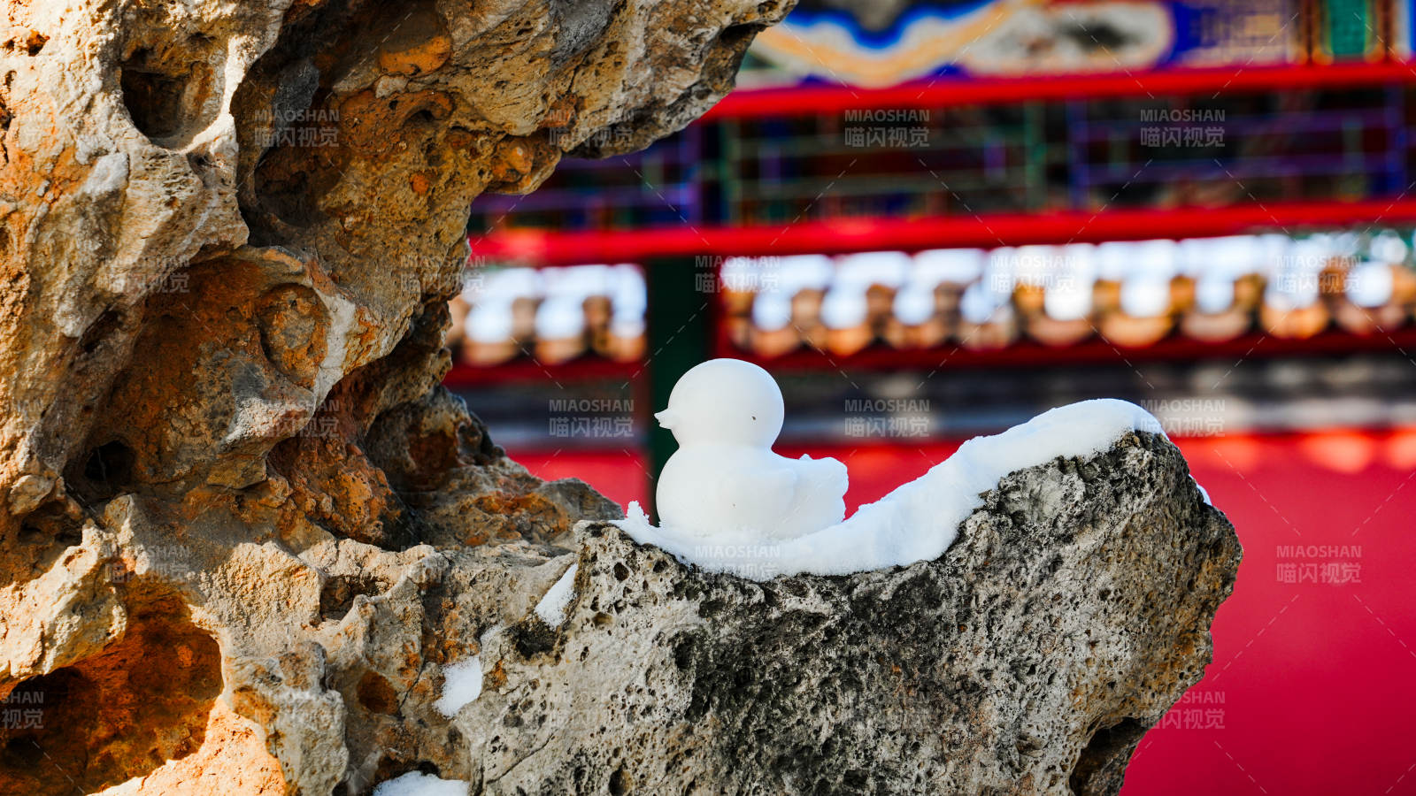 颐和园雪中石雕小鸭图片