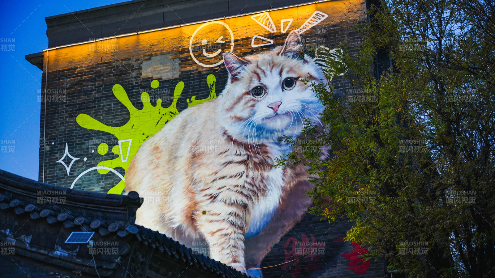 墙上的猫咪涂鸦图片