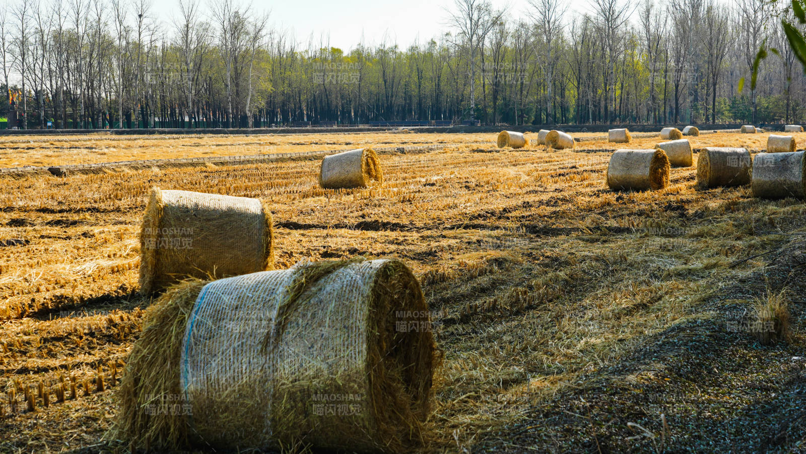 金秋田野草垛图图片