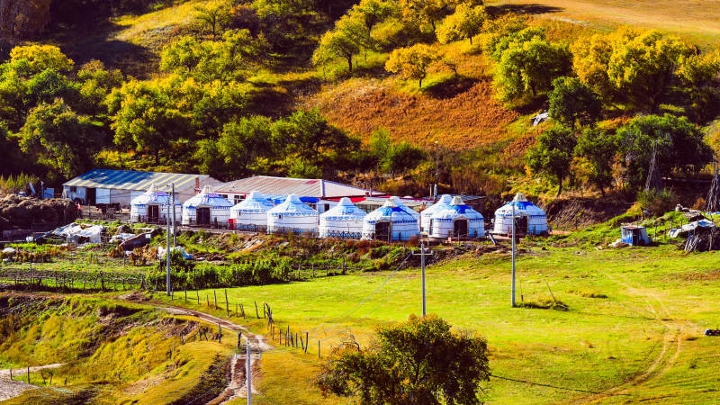 乌兰布统草原上的蒙古包群图片