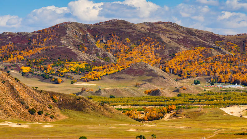 乌兰布统秋山金谷图图片