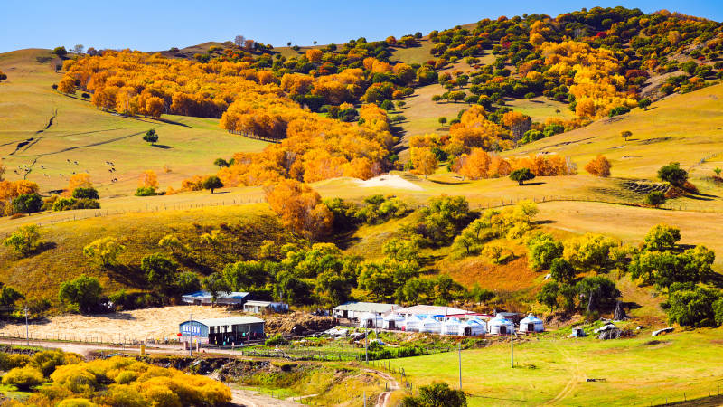 乌兰布统秋日山野风光图片