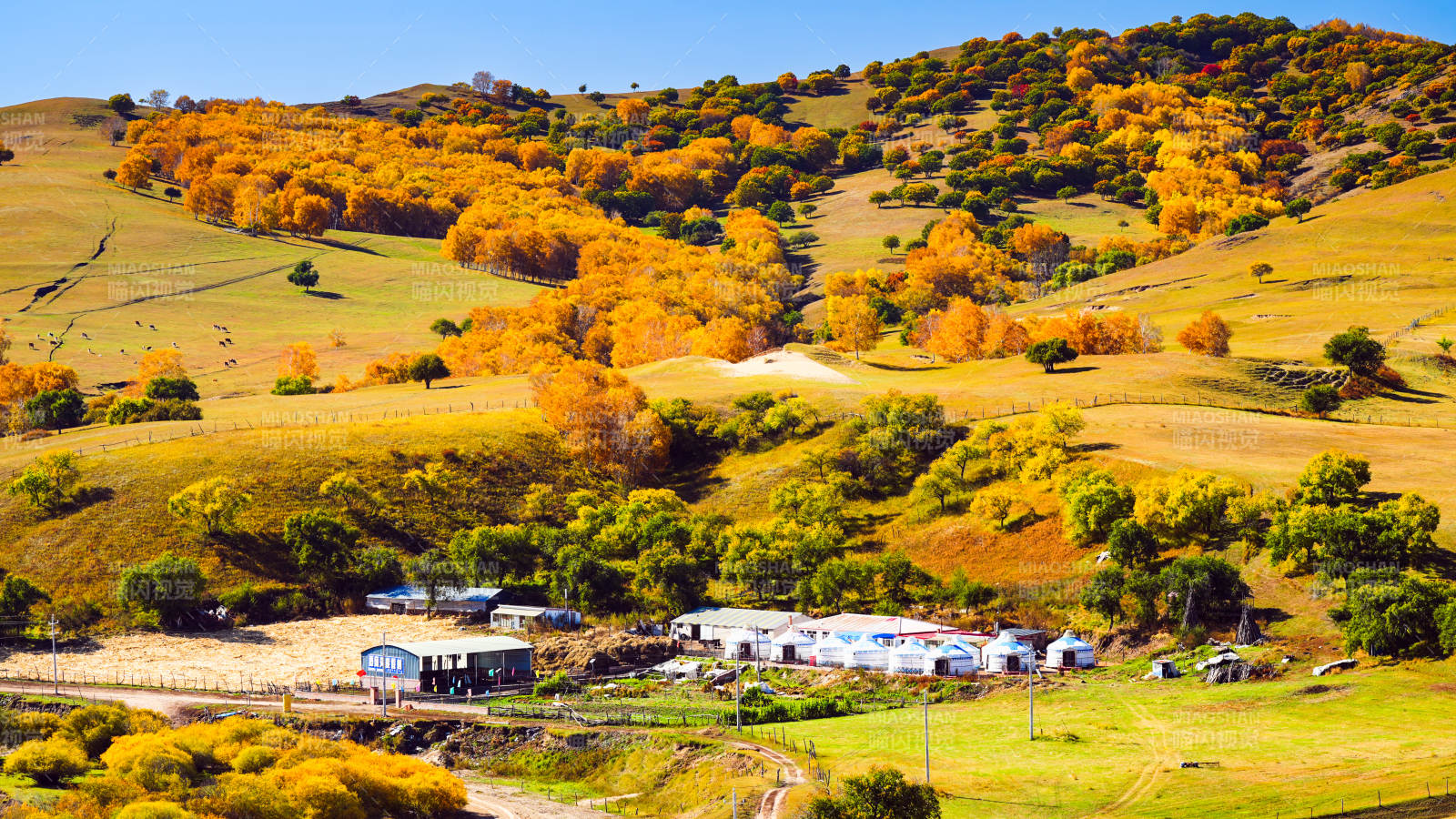 乌兰布统秋日山野风光图片