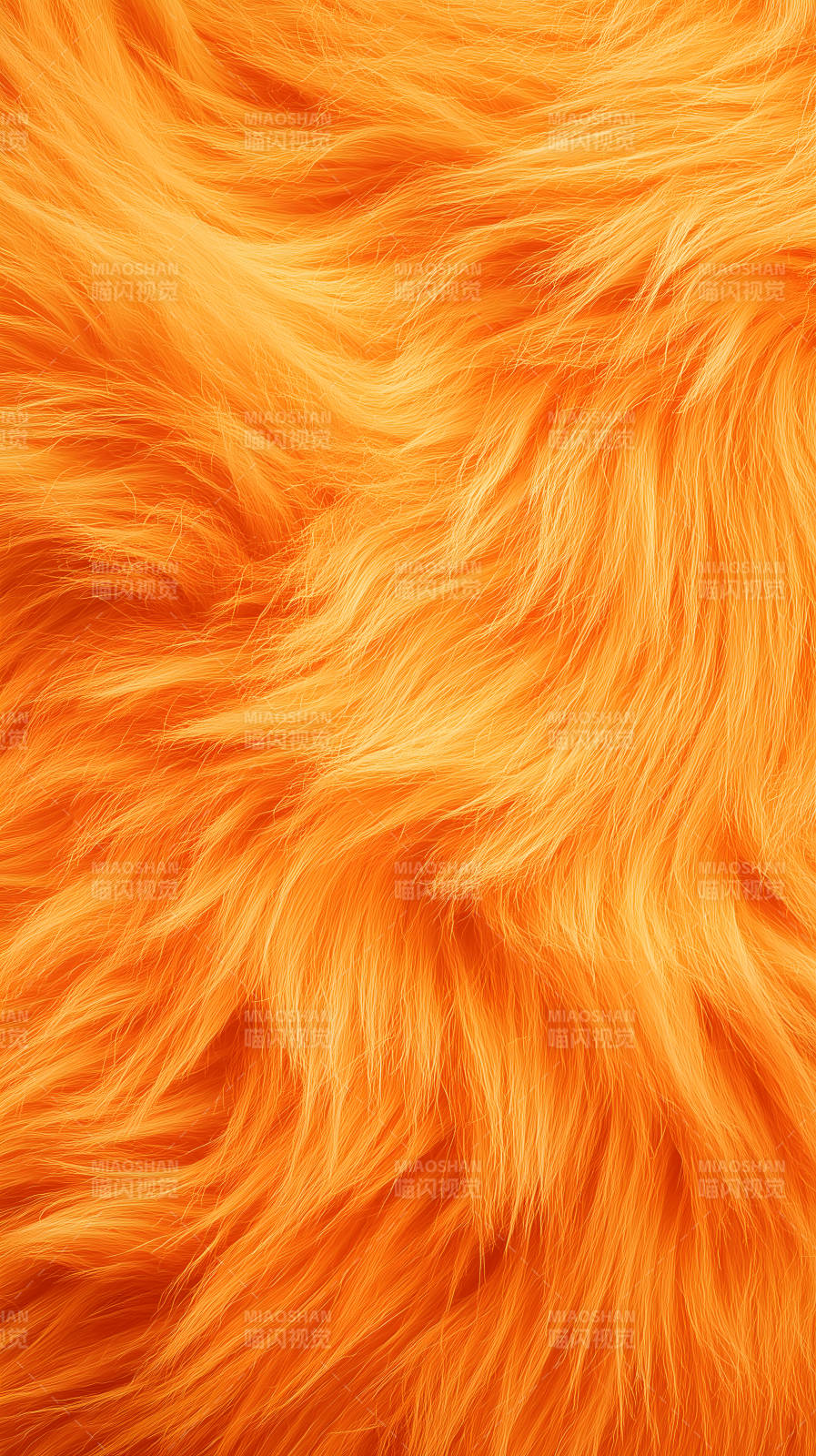 橙色毛发特写纹理质感细节图片