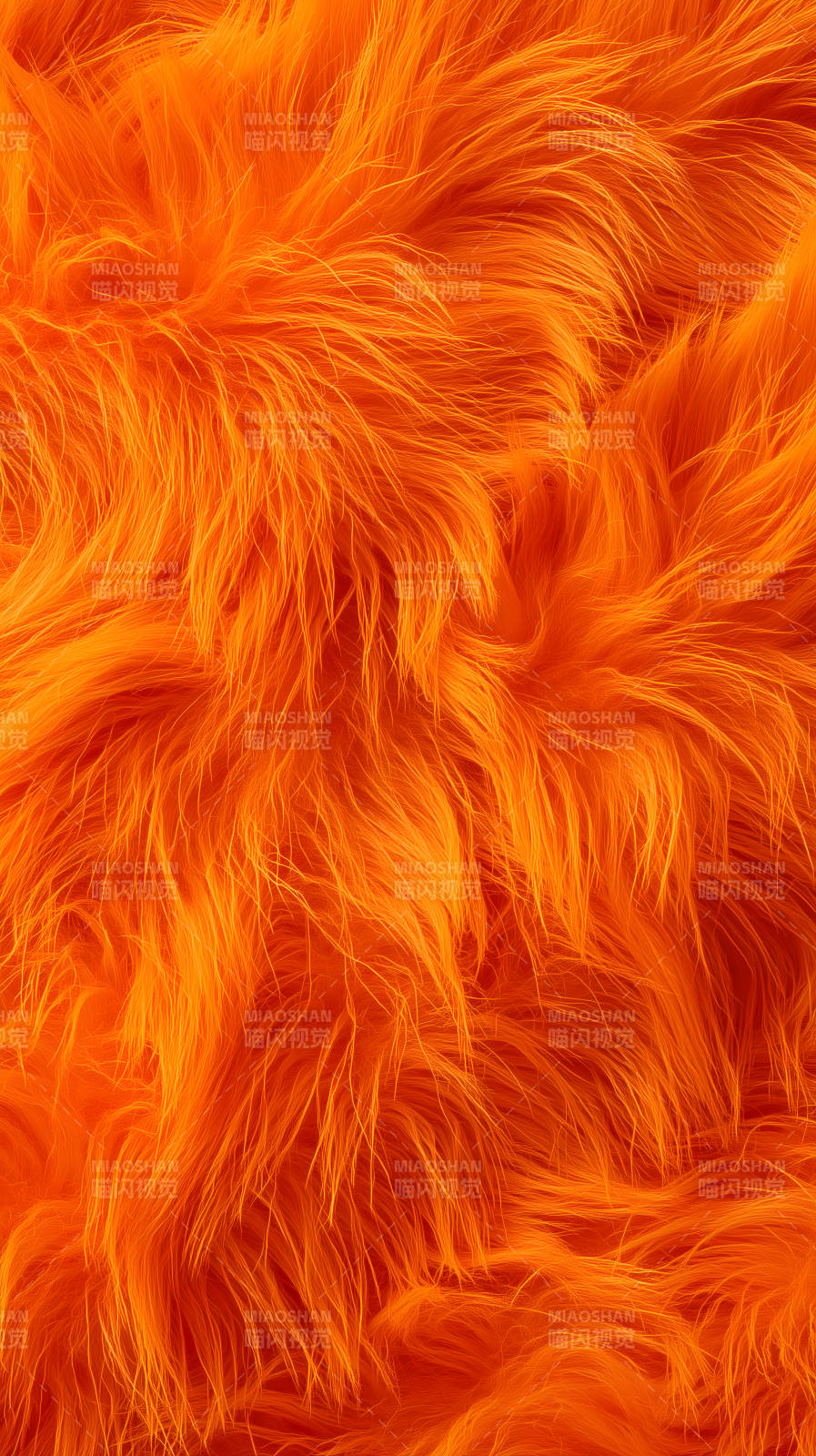 橙色毛发质感细腻光泽图片