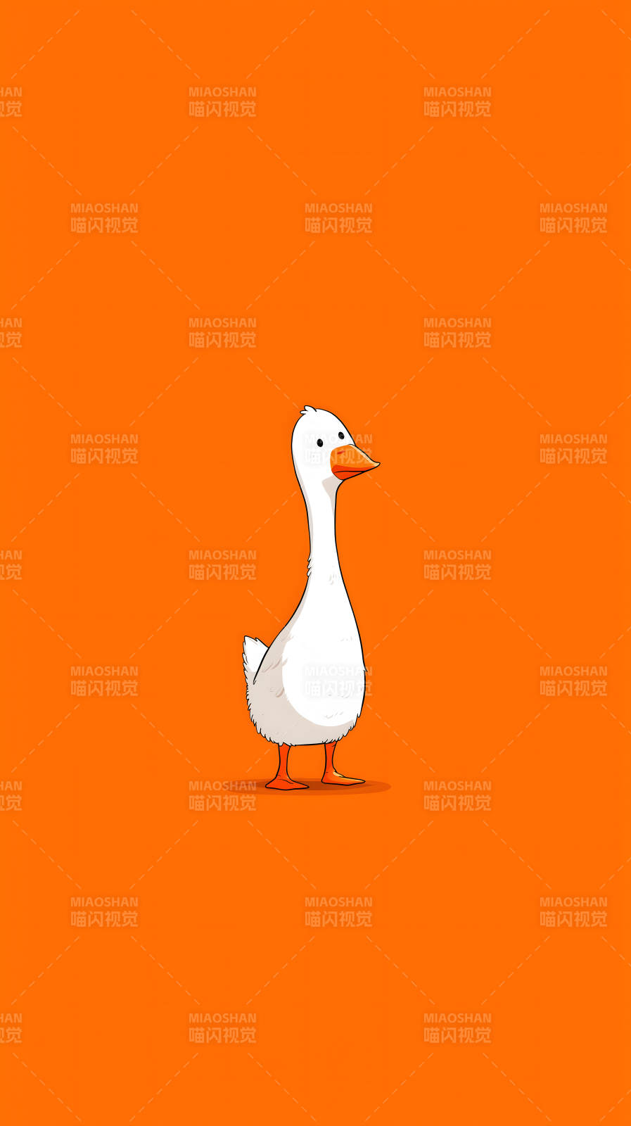 橘色背景下的白鹅图片