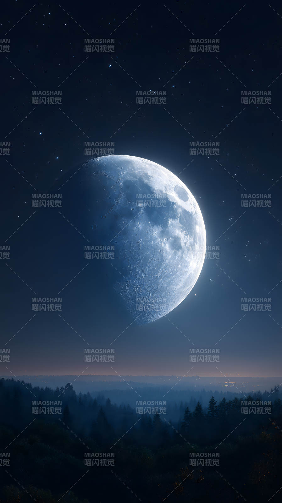 夜空下的月亮和森林图片