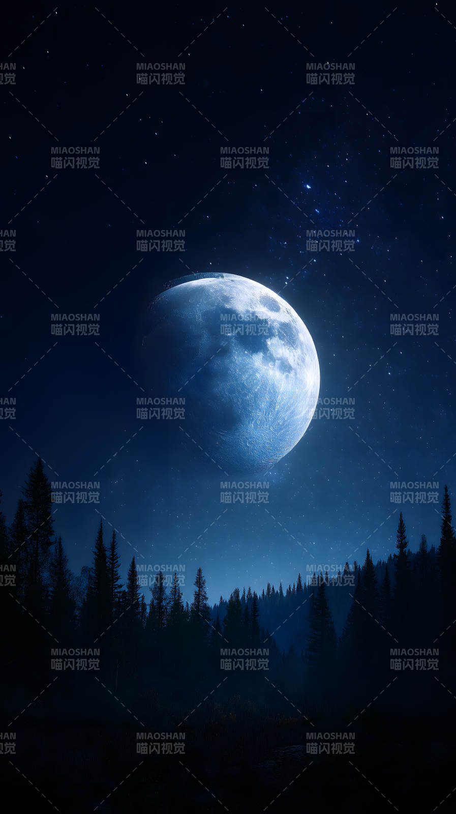 夜空下的森林与明月星光图片