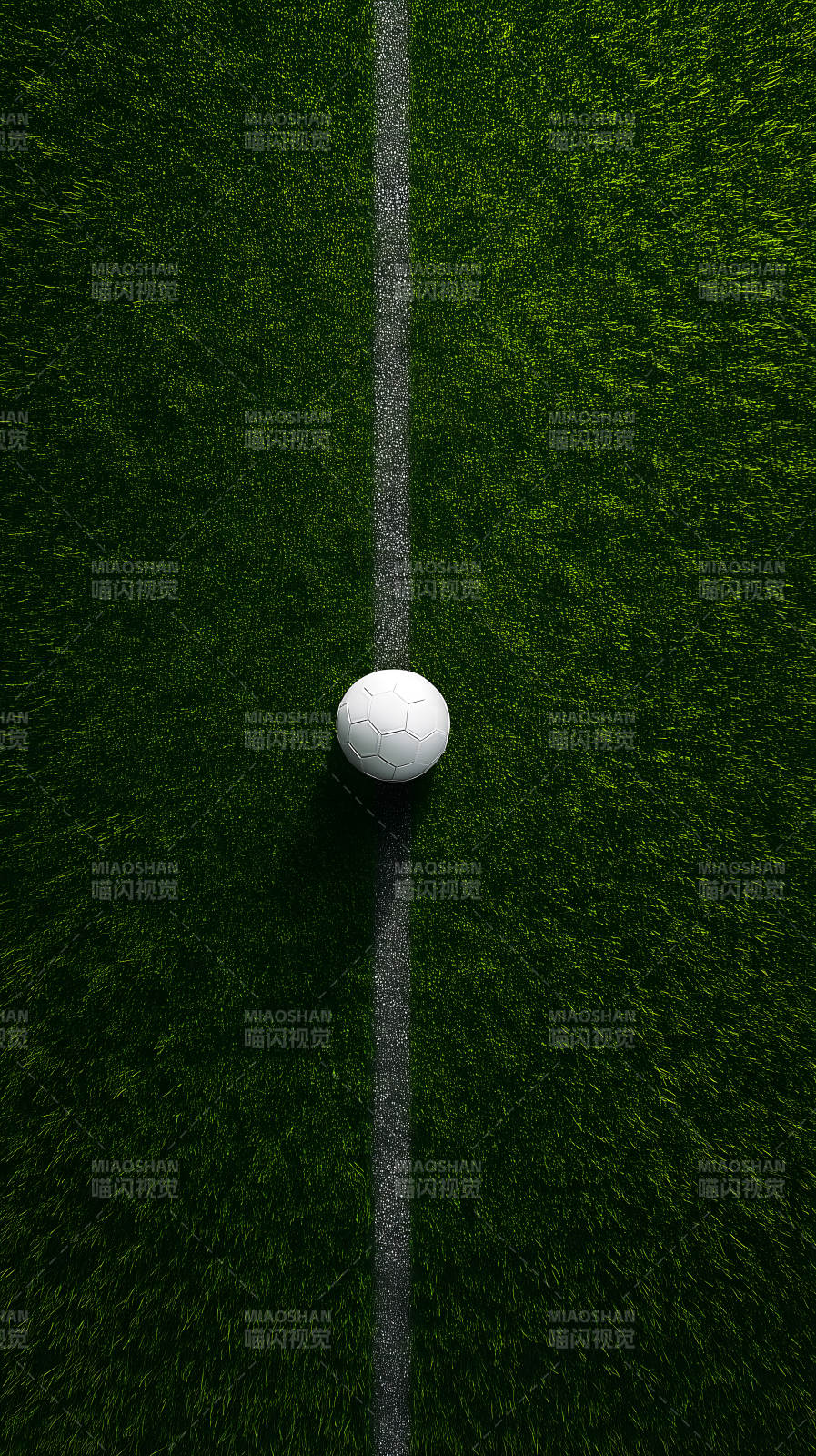 足球场上的足球图片