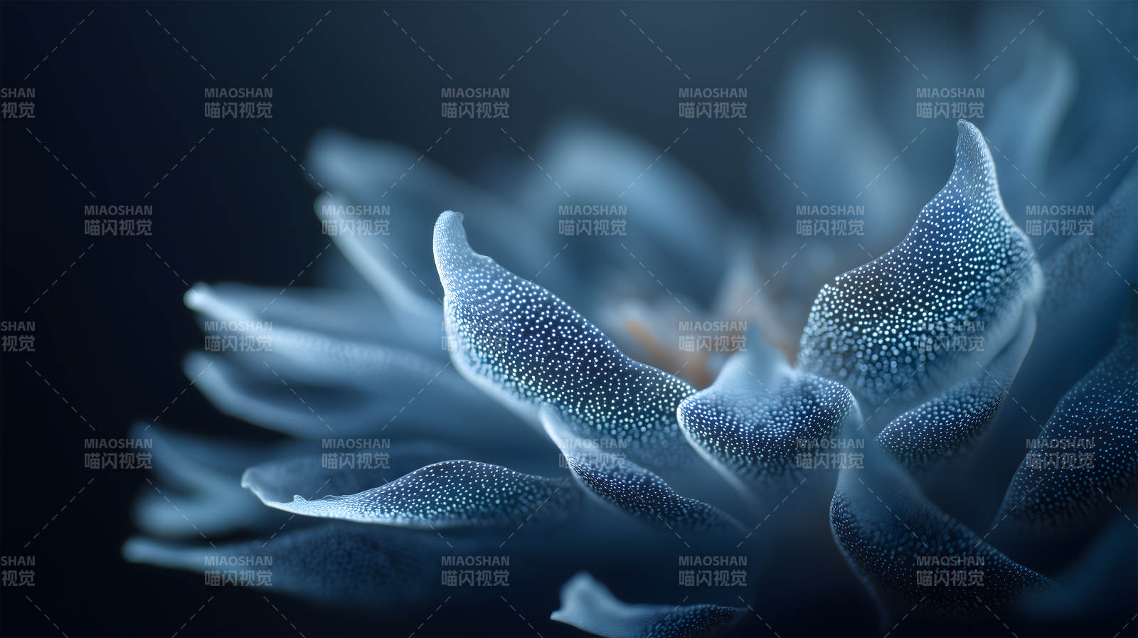 深蓝花朵的细致纹理图片