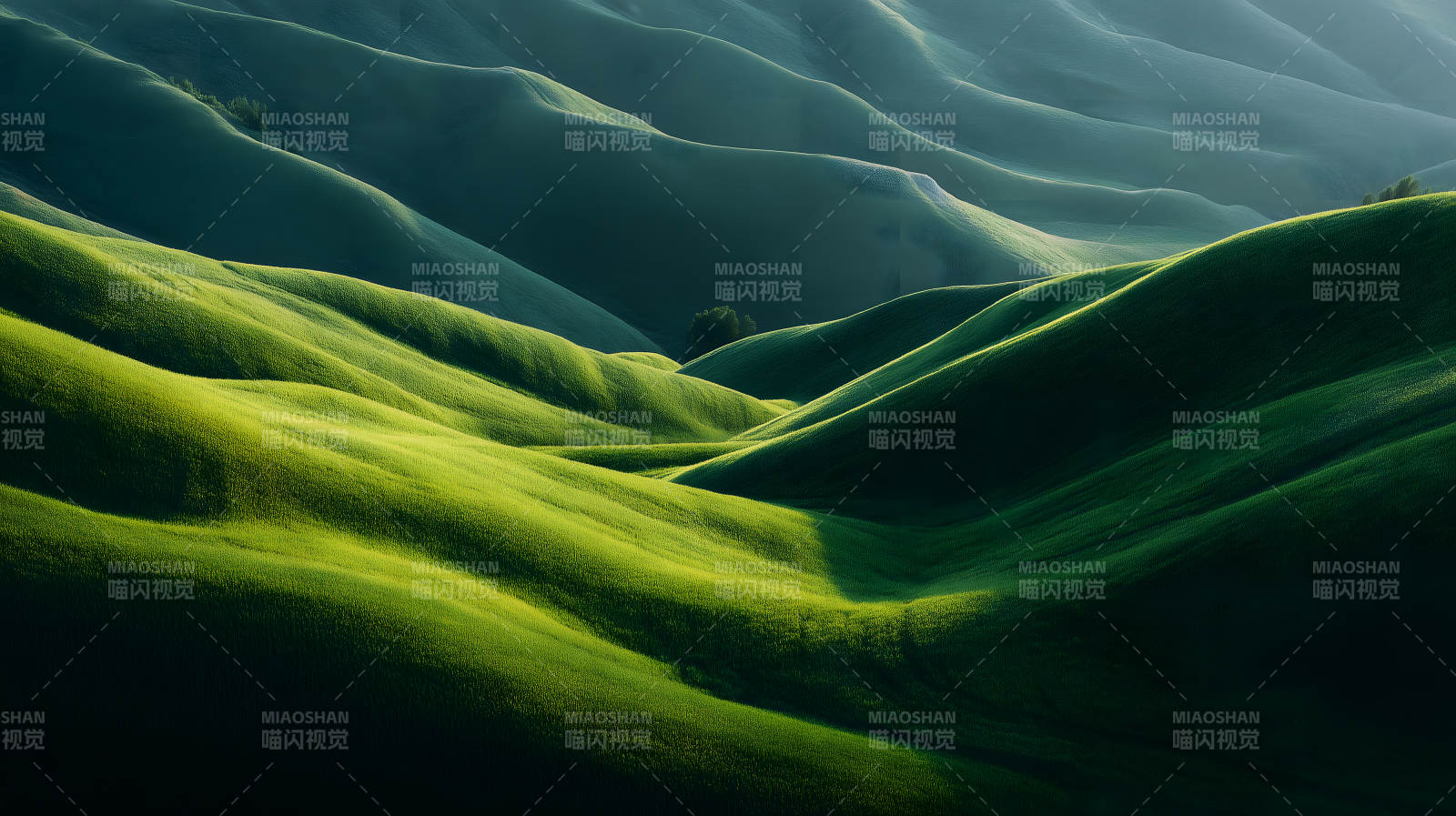 起伏的绿色丘陵景观图片