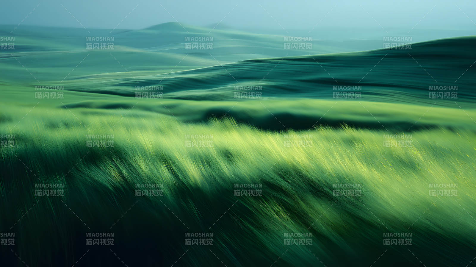 麦浪翻滚的绿色田野图片