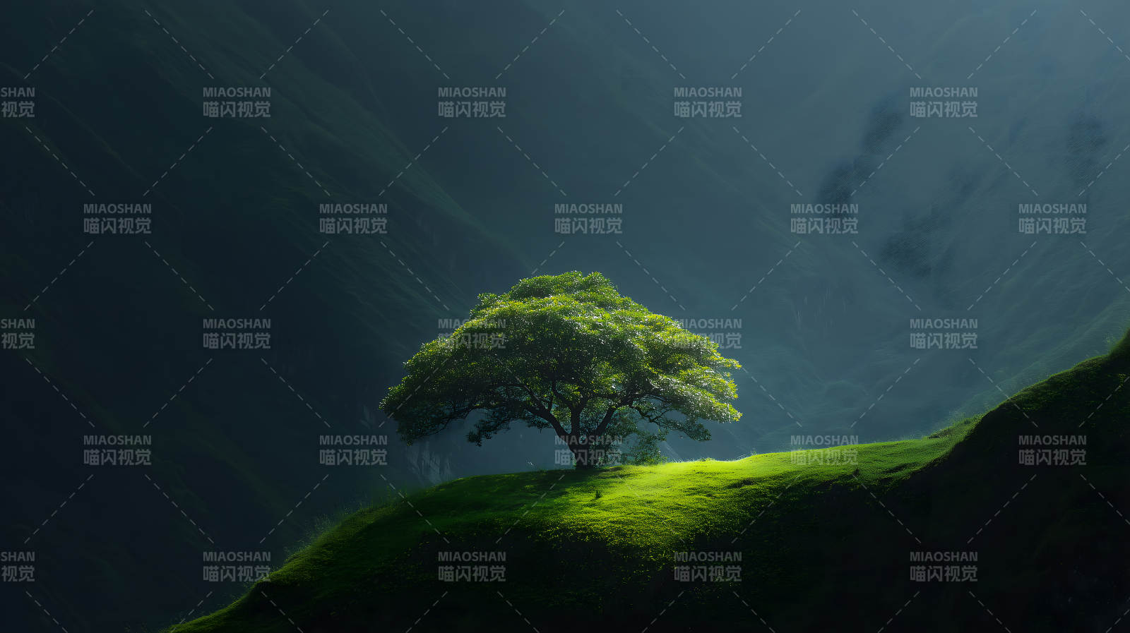 山谷中一棵孤独的树图片