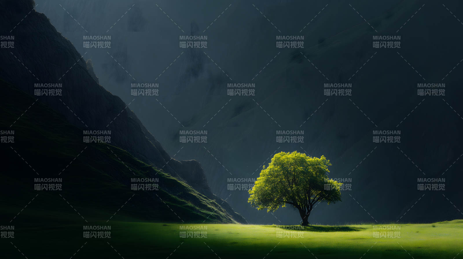 山谷中孤独的绿树图片