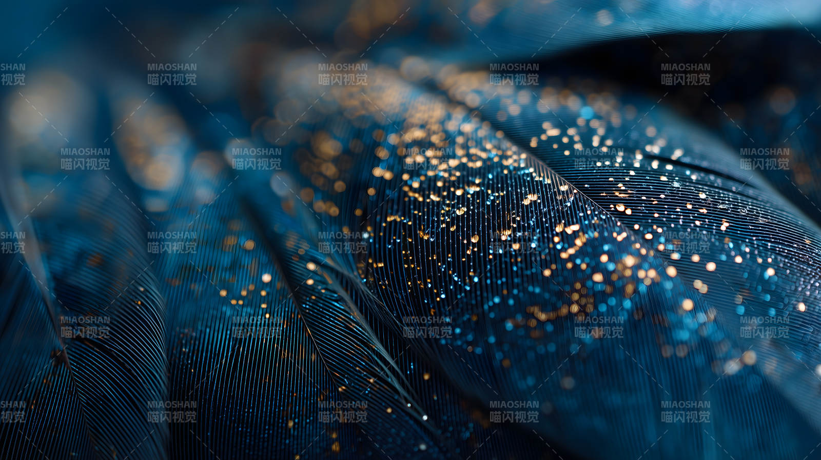 深蓝羽毛上的金色闪耀图片