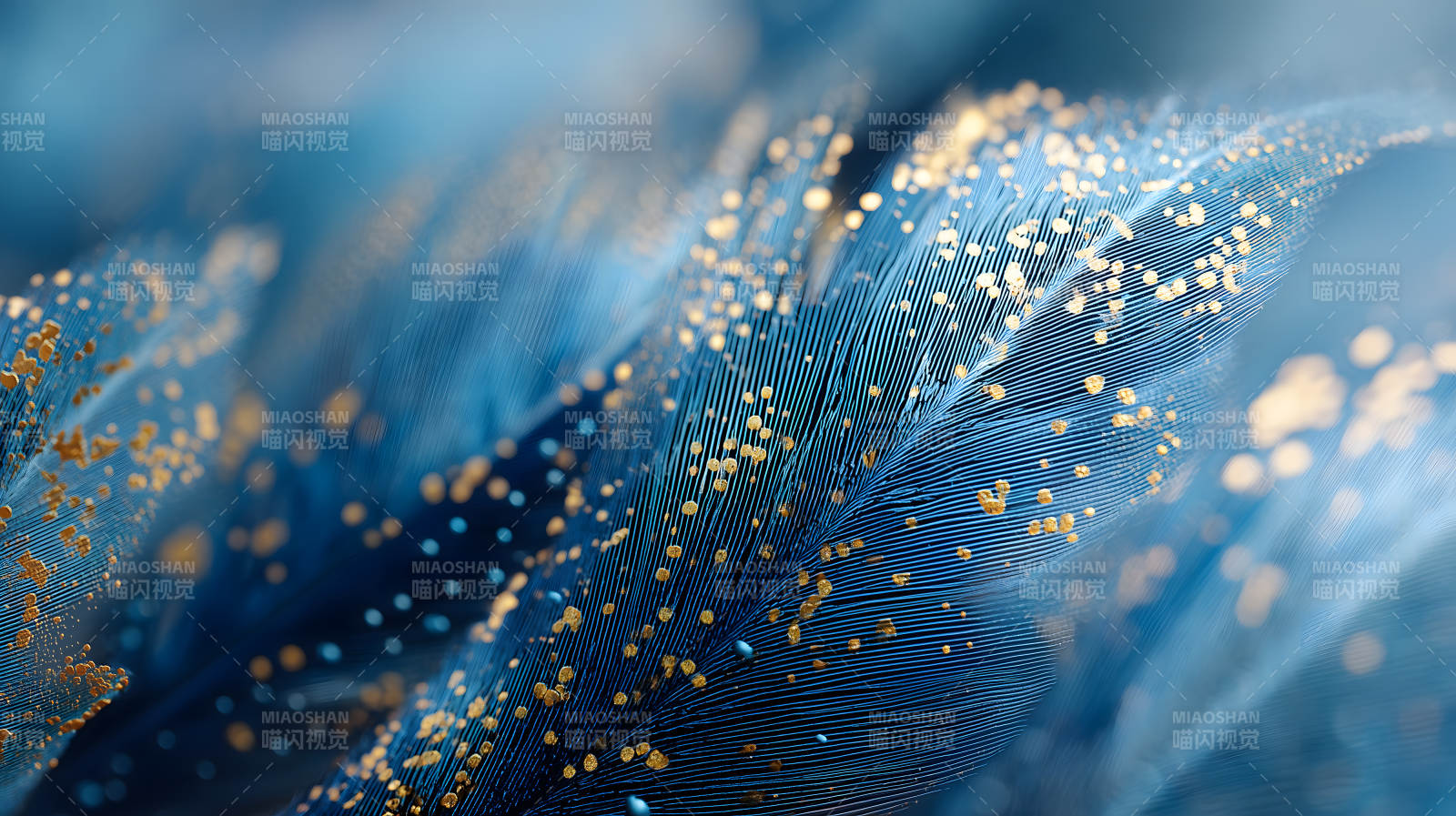 深蓝羽毛上的金色闪耀图片