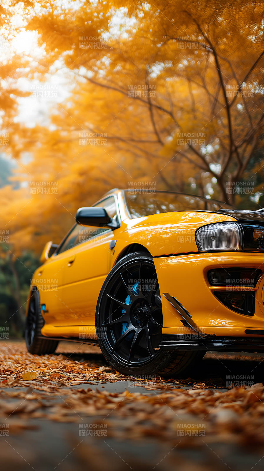 秋日里亮黄的跑车图片