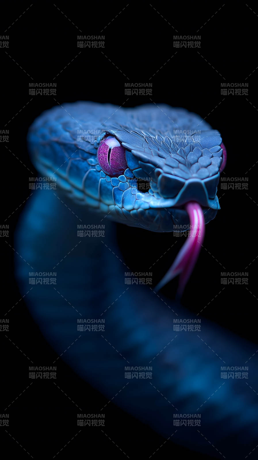 幽蓝毒蛇凝视夜色图片