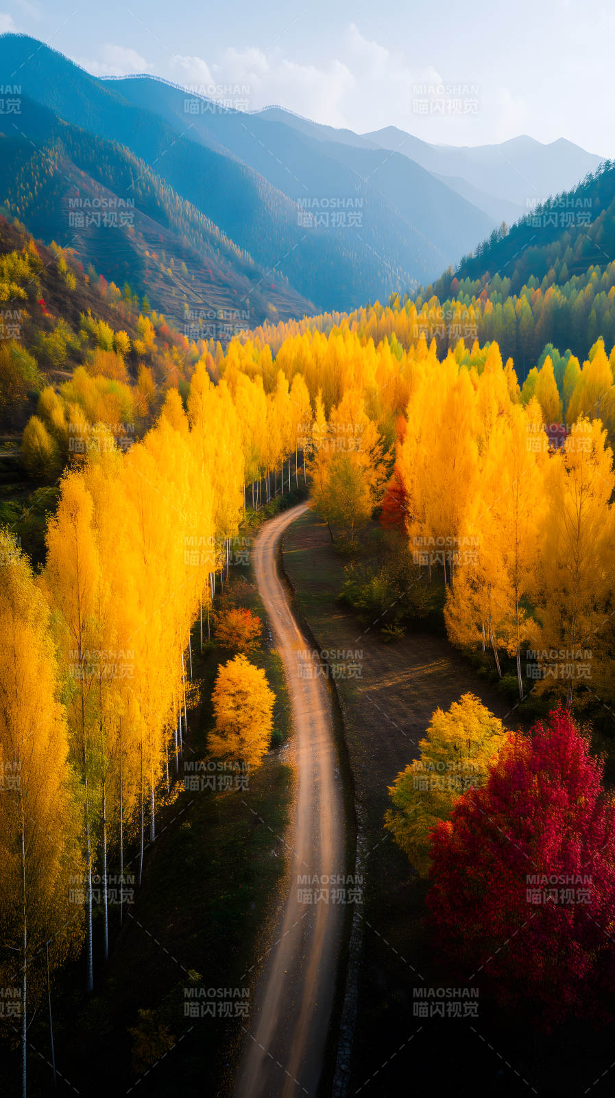 秋日山间蜿蜒小路图片
